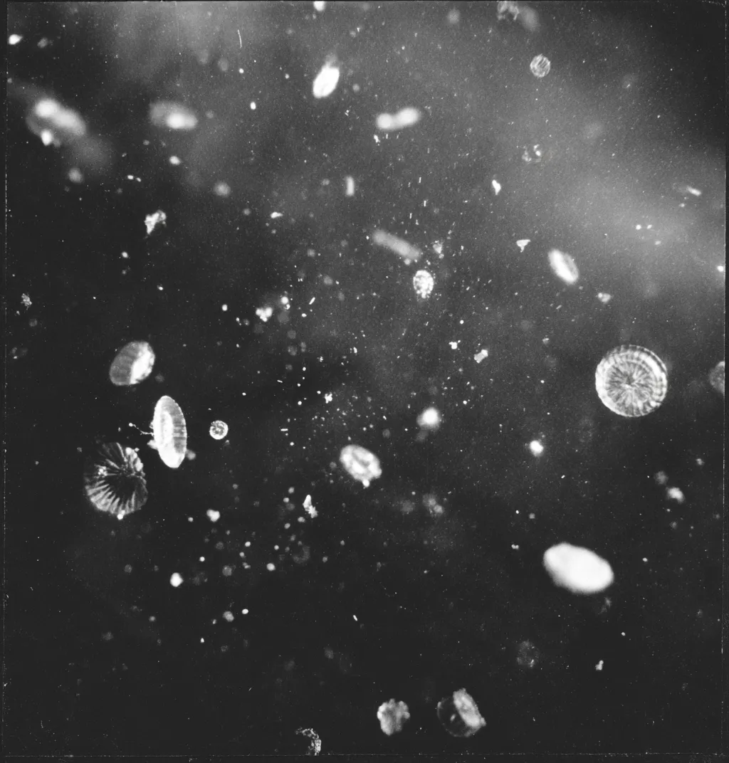 AI generated artwork 7